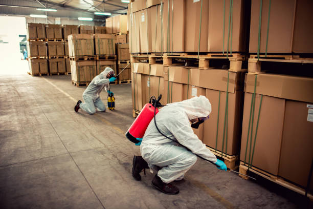 Best Pest Control Near Me  in Richmond Heights, FL