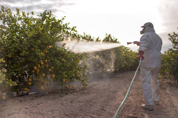 Best Residential Pest Control  in Richmond Heights, FL