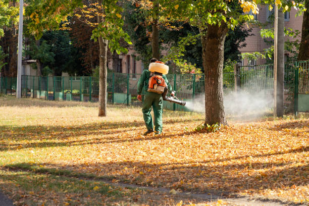Reliable Richmond Heights, FL Pest Control Solutions