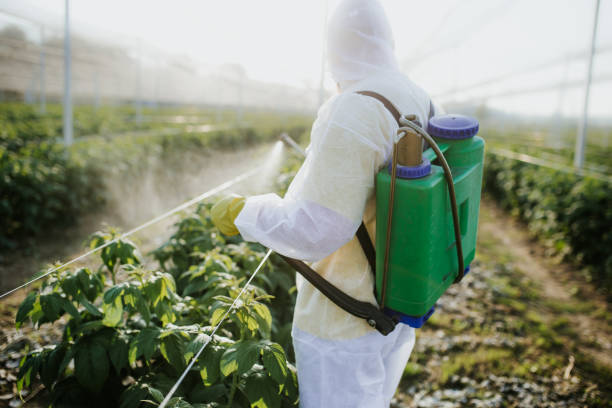 Best Best Pest Control Companies  in Richmond Heights, FL